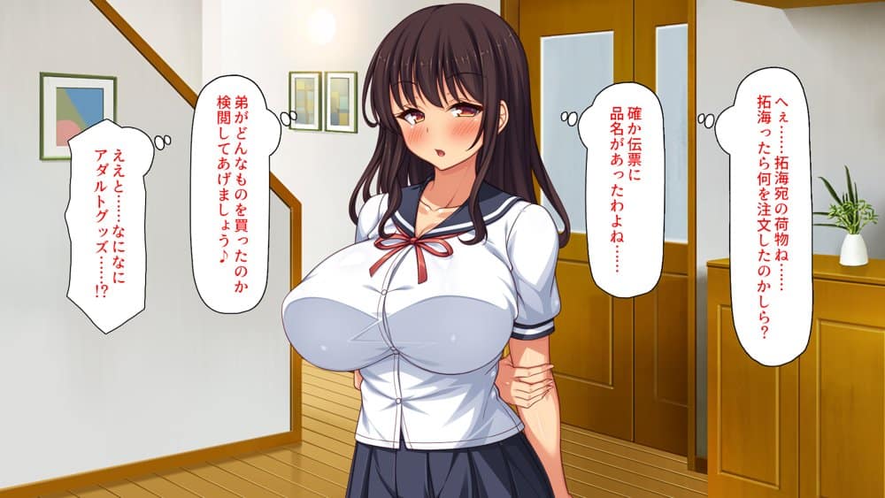 弟とセックスしたら気持ちよすぎて止まらなくなった姉の話