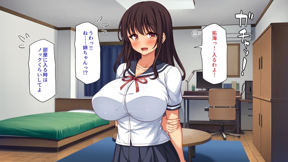 弟とセックスしたら気持ちよすぎて止まらなくなった姉の話
